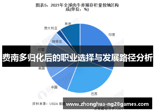 费南多归化后的职业选择与发展路径分析
