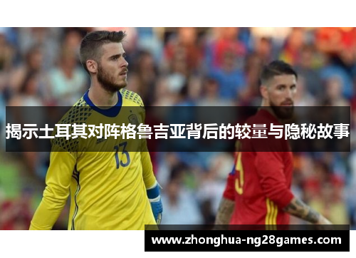 揭示土耳其对阵格鲁吉亚背后的较量与隐秘故事
