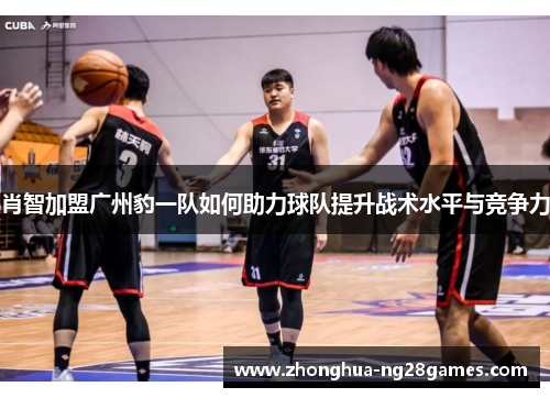 肖智加盟广州豹一队如何助力球队提升战术水平与竞争力