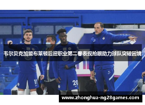 韦尔贝克加盟布莱顿后迎职业第二春表现抢眼助力球队突破困境