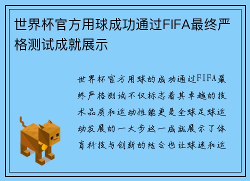 世界杯官方用球成功通过FIFA最终严格测试成就展示 世界杯官方用球成功通过FIFA最终严格测试成就展示